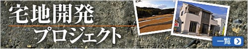 宅地開発プロジェクト